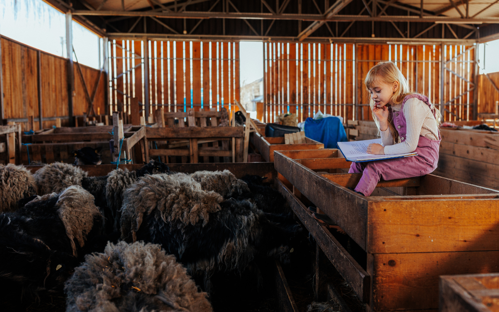 4-H Buyer Invitation Checklist thumbnail